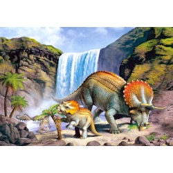 Triceratops