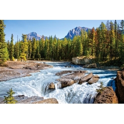 Rzeka Athabaska, Park Narodowy Jasper, Kanada