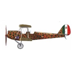 Caproni Ca.100