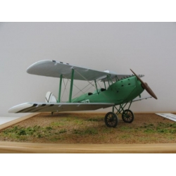 Caproni Ca.100