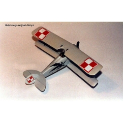 Nieuport 24