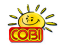 COBI