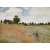 Maki w pobliżu Argenteuil, Claude Monet