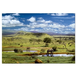 Park Narodowy Tsavo, Kenia