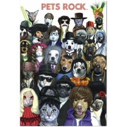 Pets Rock